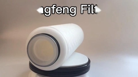 0.22um Pes Pleated Filter Cartridge for Food Beverage Filtration