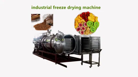 Fruit and Vegetable Lyophilizer/Freeze Dryer Equipment Freeze Drying Machine